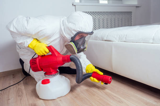 Best Best Pest Control Companies  in Youngsville, PA