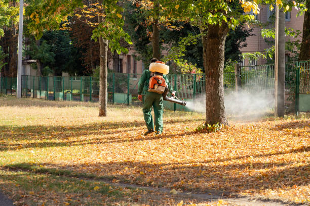 Best Mosquito Control Services  in Youngsville, PA